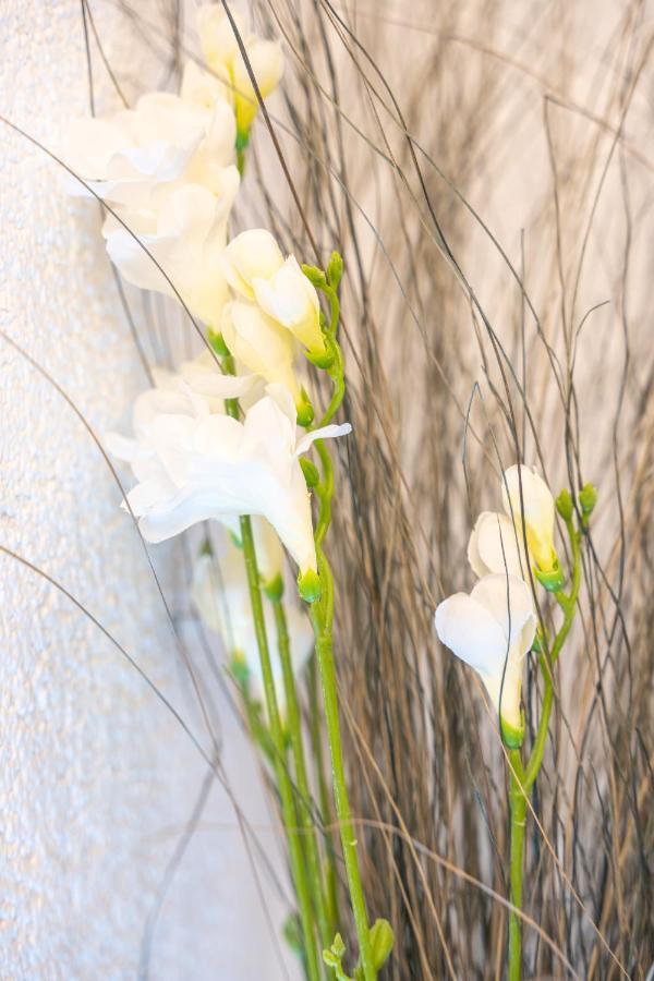 #2 Grosses Zimmer Mit Pool Und Garten メミンゲン エクステリア 写真